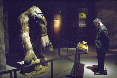 Gigantopithecus blacki - Images of Mythical Creatures