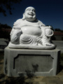 Kim Quang Buddhist Temple Buddha