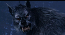 A Werewolf